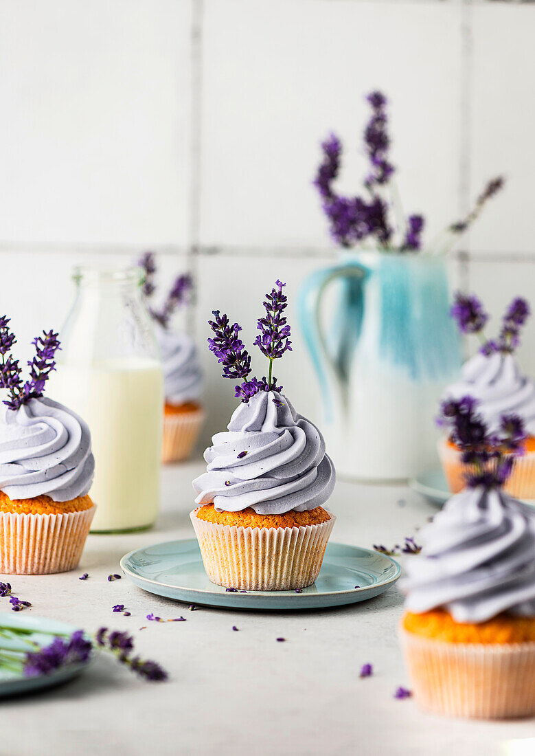 Lavendel-Cupcakes