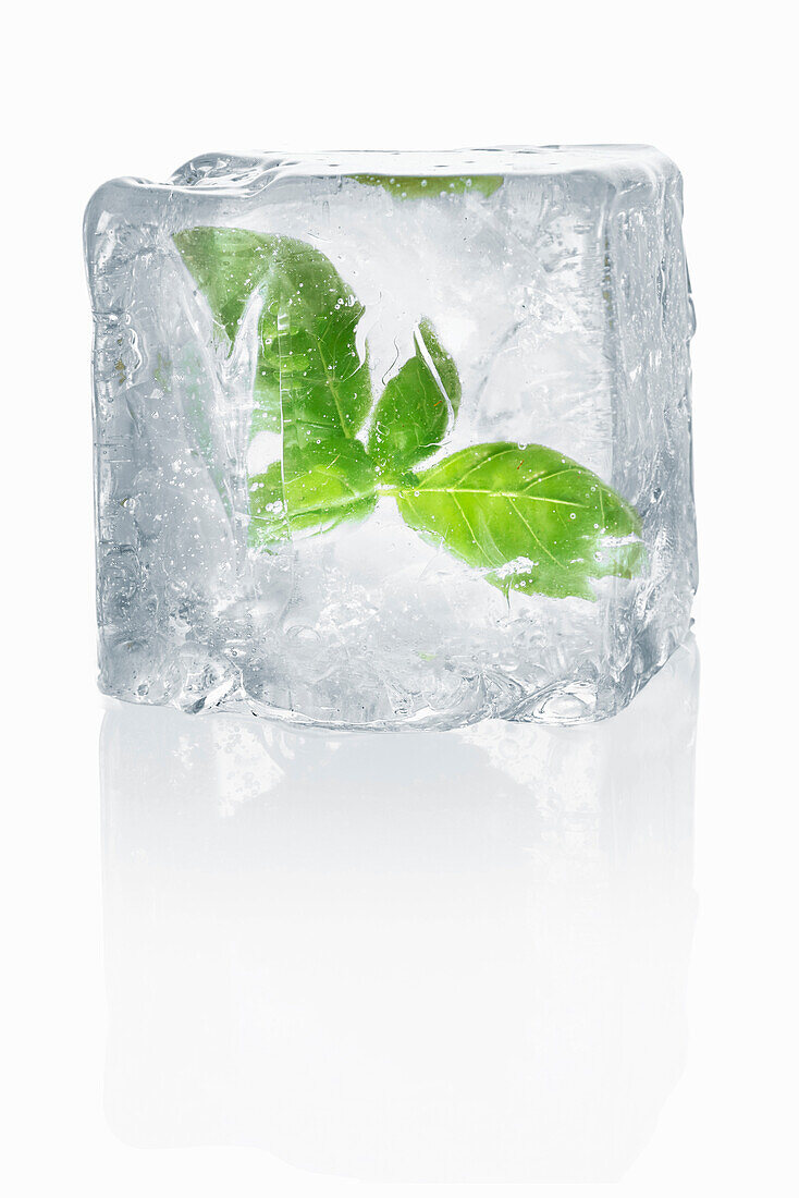 Ice cubes with enclosed basil