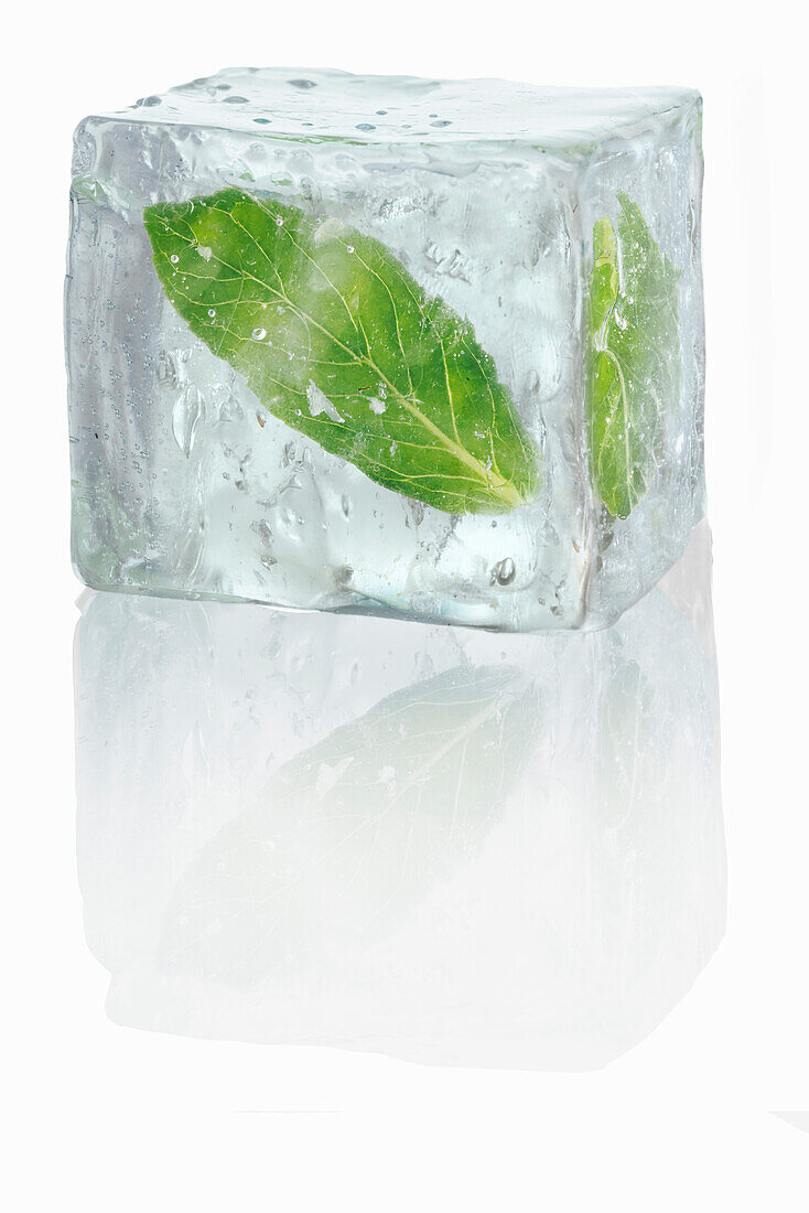 Eiswürfel mit eingeschlossenem Minzblatt