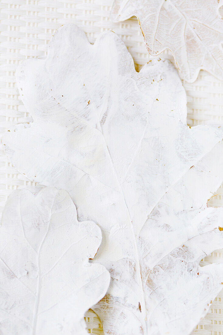 White painted leaves