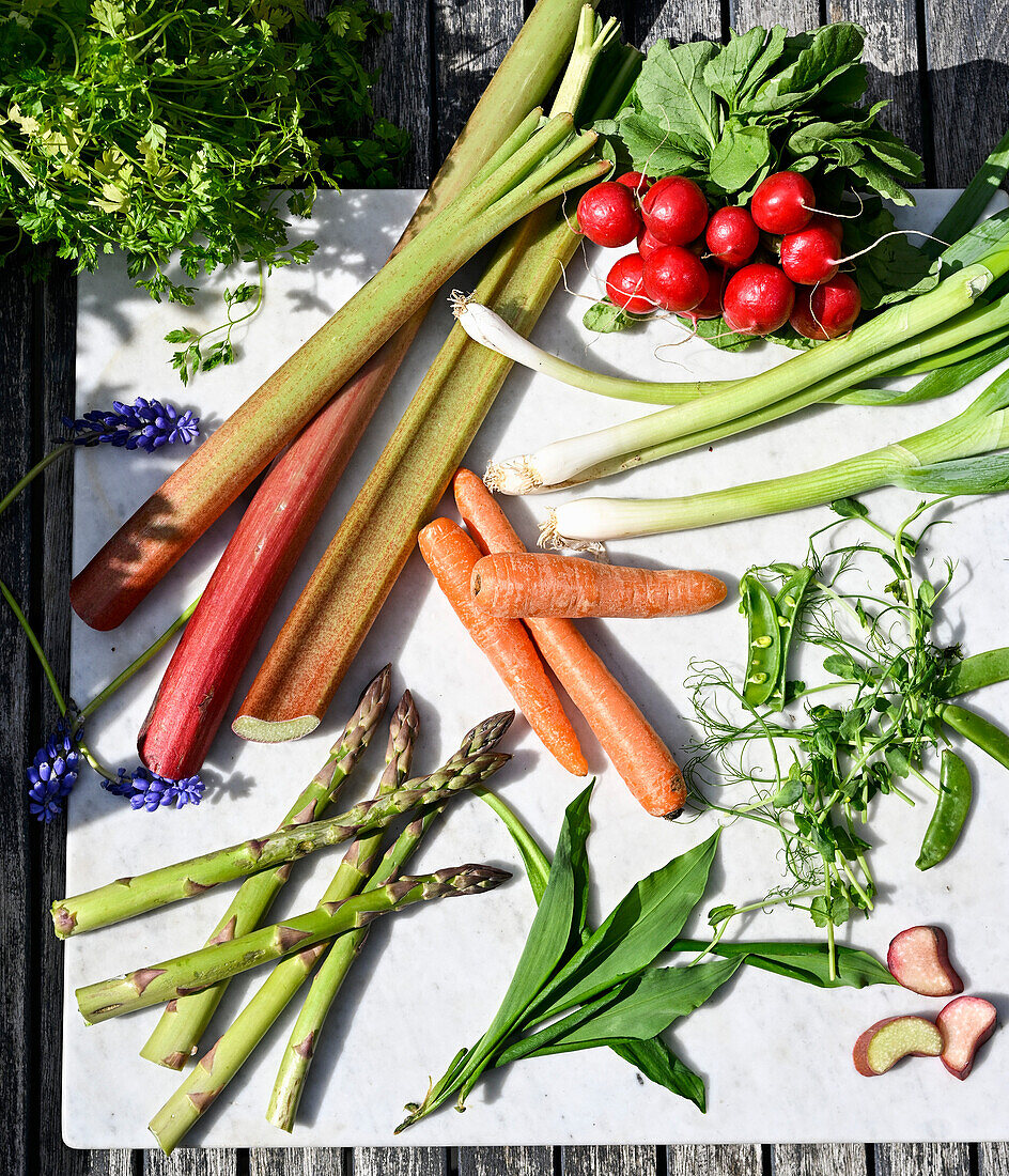 Verschiedene frische Frühlingsgemüse: Karotten, Radieschen, Lauchzwiebeln, grüner Spargel, Rhabarber, Erbsensprossen