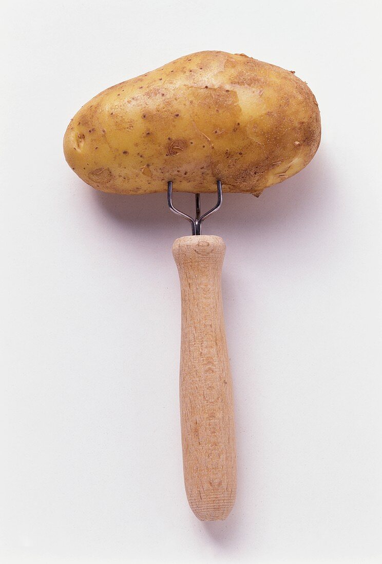 Raw potato (Italian Sieglinde) on potato fork