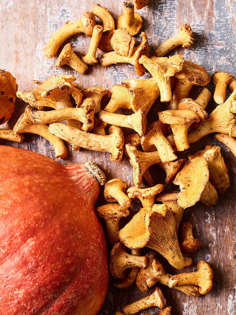 Chanterelles and pumpkin on a wooden base