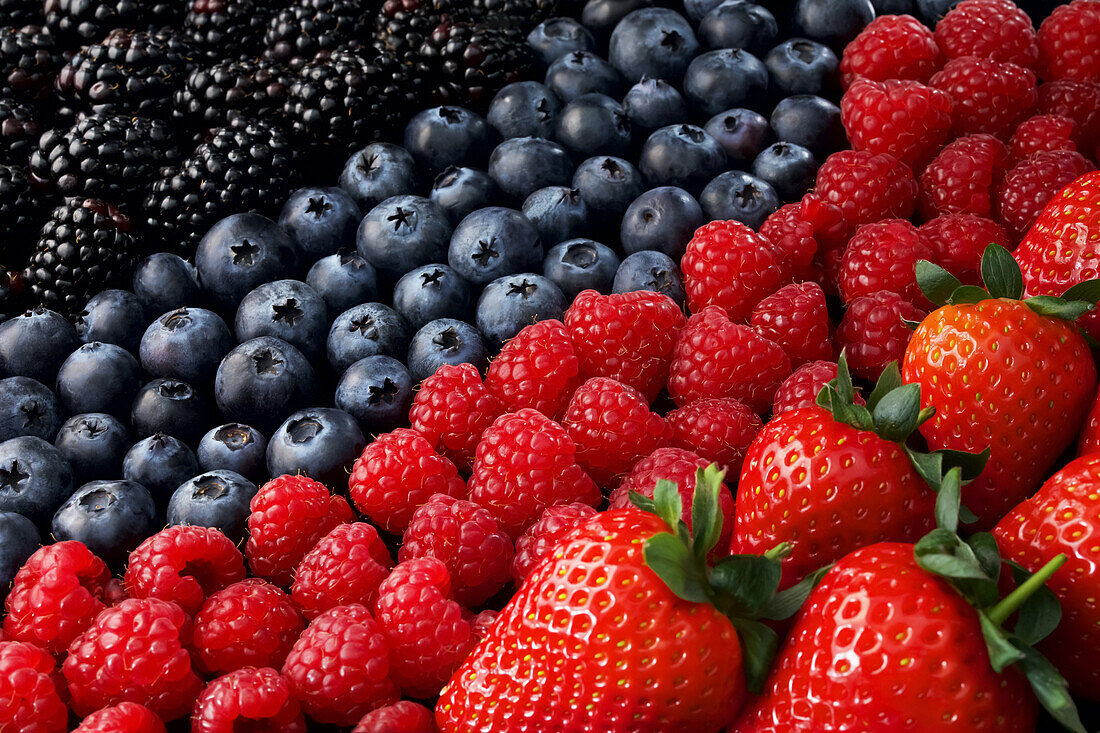 Blackberries, blueberries, raspberries and strawberries