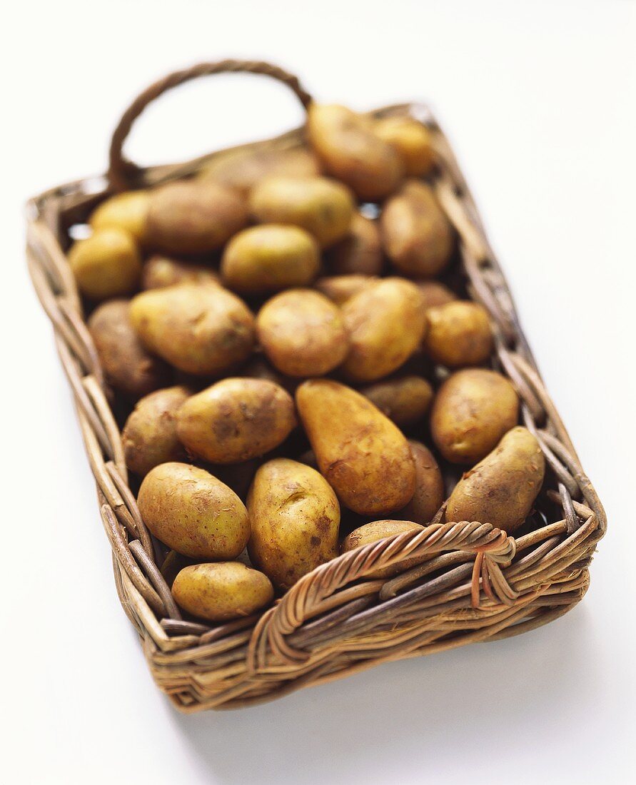 Kartoffeln (Italienische Sieglinde) auf Korbtablett