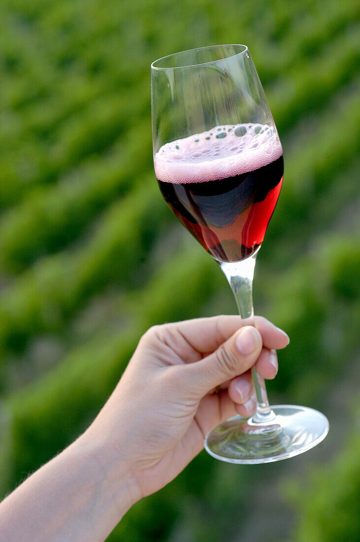 Hand holding a wine glass with Vernaccia di Serrapetrona