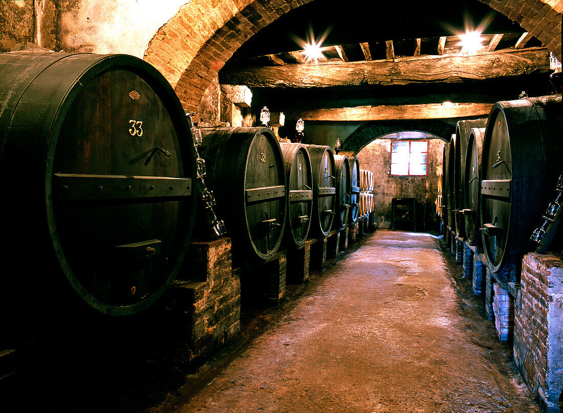 Wine cellar with large wooden barrels