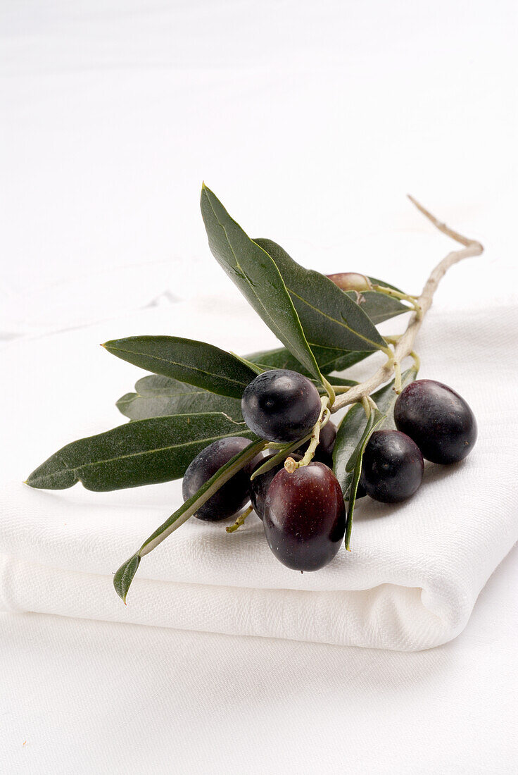 Sprig of fresh black olives