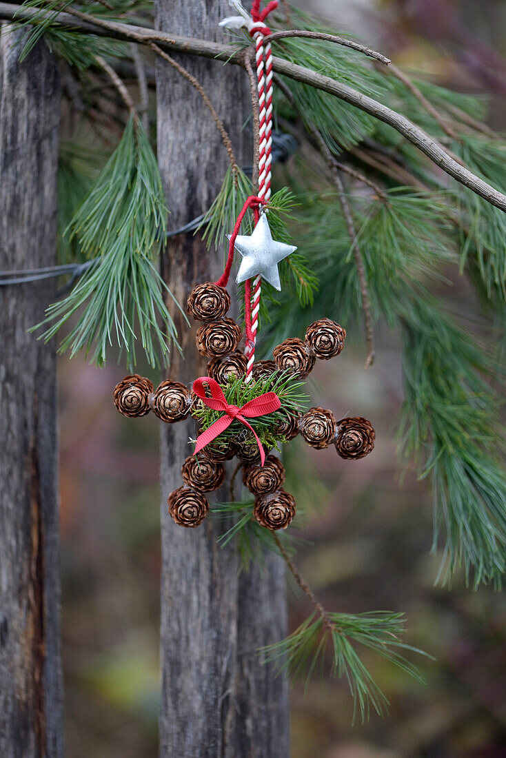 Weihnachtsstern aus Lärchenzapfen mit roter Schleife und Sternanhänger