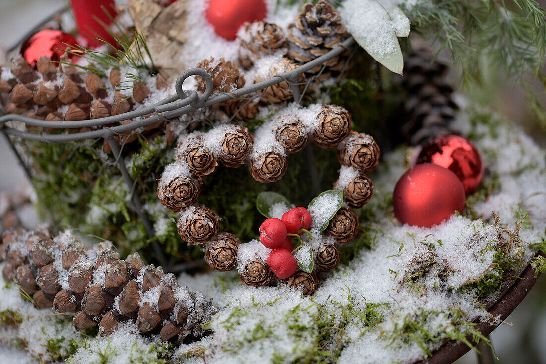 Heart made from larch cones and red berries as a winter decoration