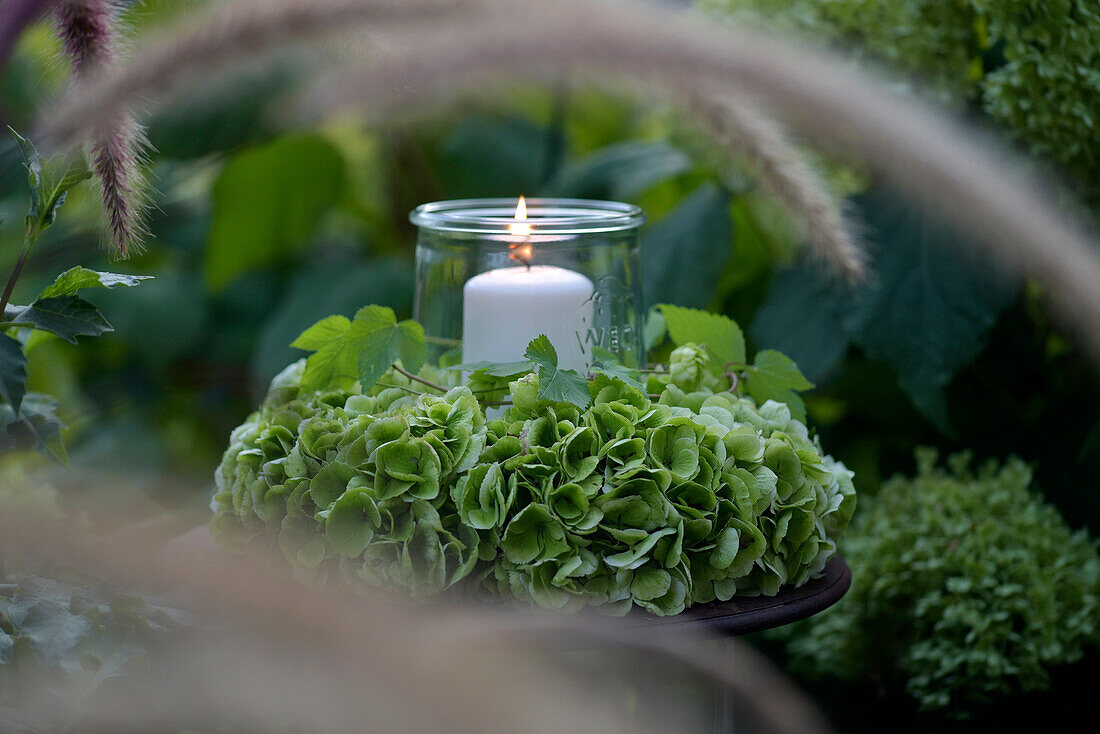 Lantern on a wreath of green hydrangeas in the garden