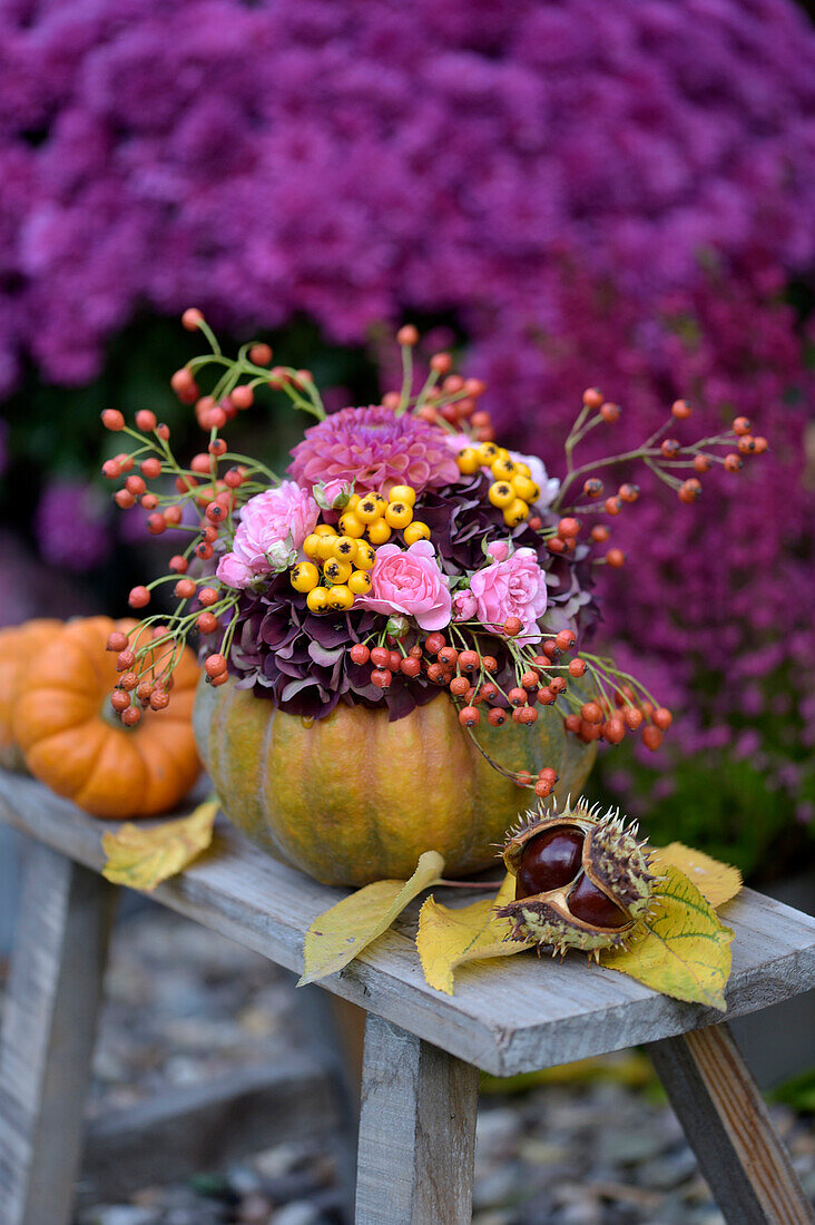 Kürbis als Vase mit Hortensien, Rosen, Beeren und Dahlien auf Holzbank