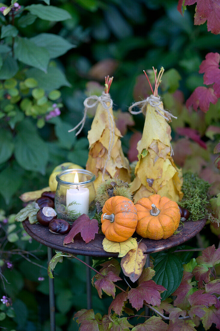 Herbstliche Dekoration mit Kürbis, Äpfeln und Kastanien im Garten