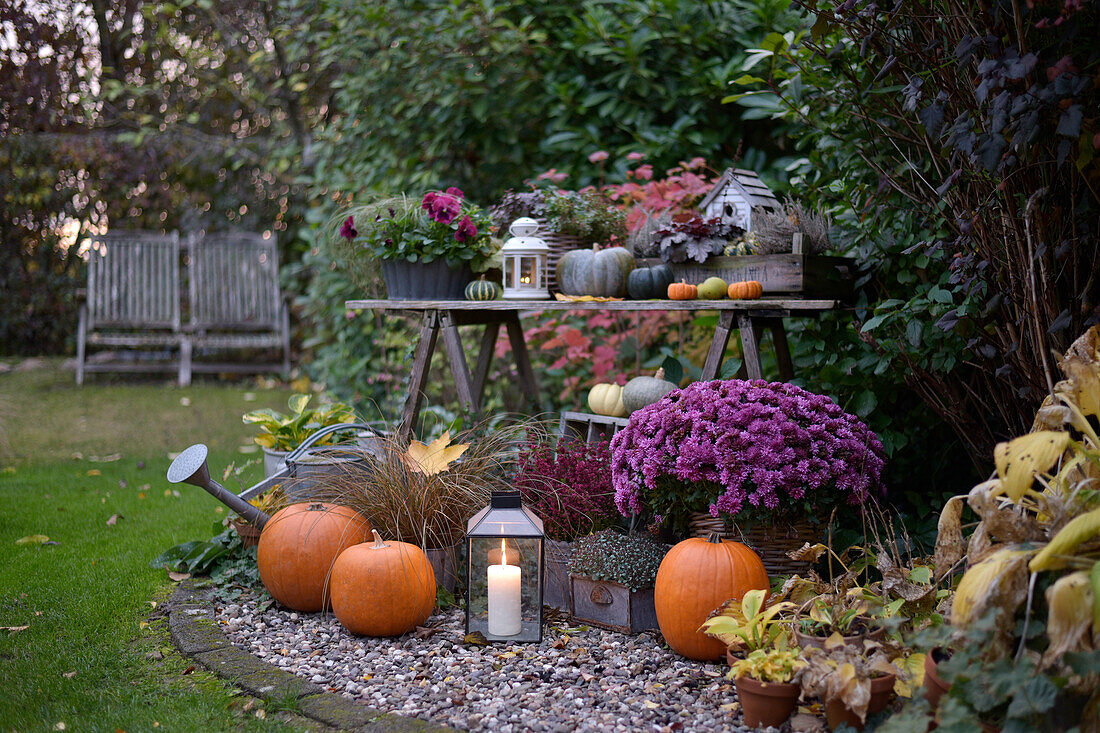 Autumnal garden decoration with pumpkins, various plants and lanterns