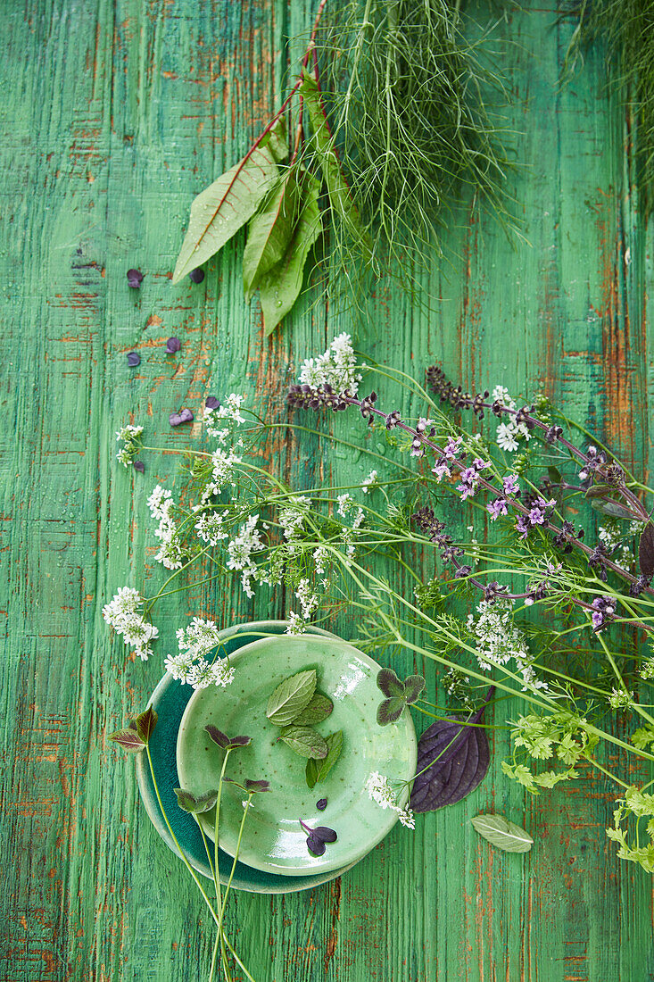 Frische Kräuter aus dem Garten