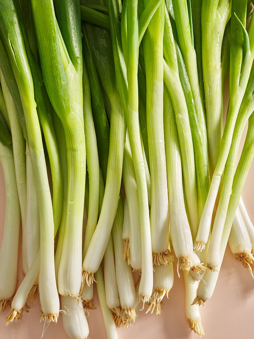 Fresh spring onions