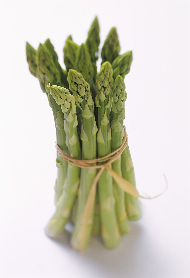 One Tied Bundle of Asparagus