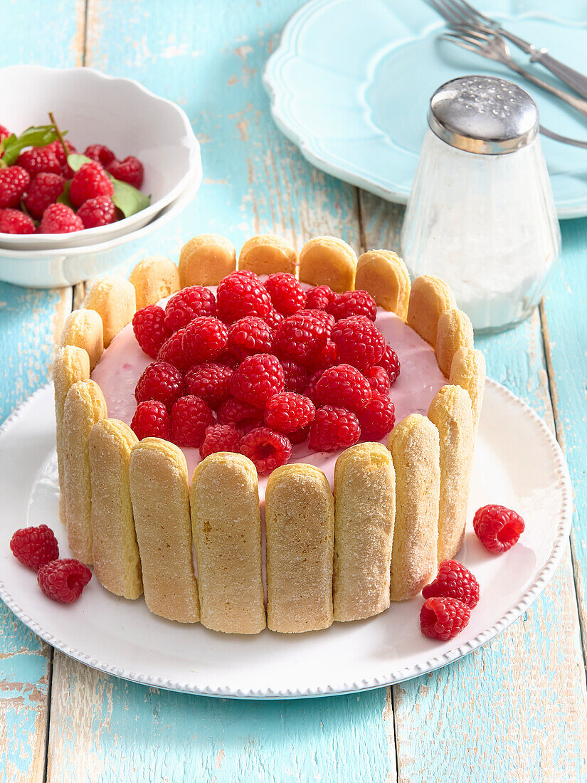 Raspberry charlotte