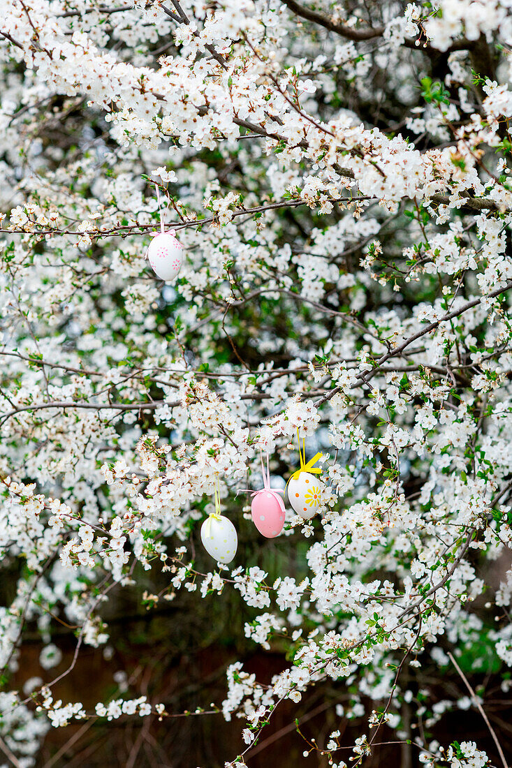 Ostereier im blühenden Baum