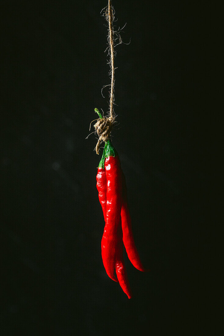 Frische rote Chilischoten am Strick