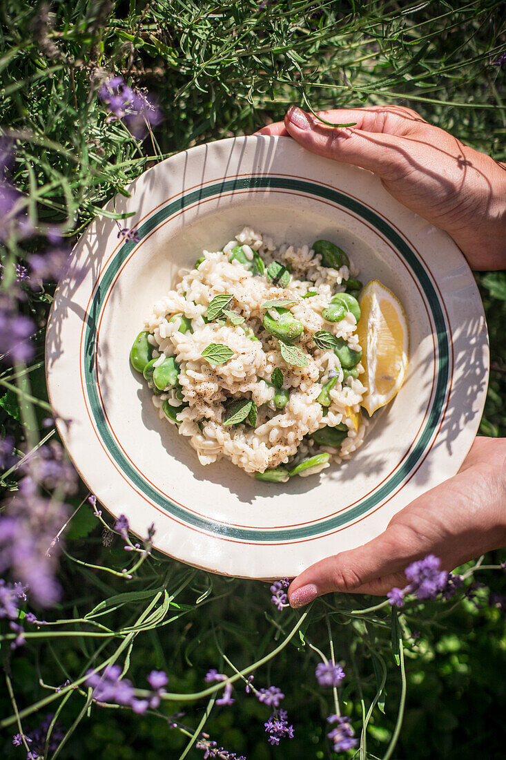 Risotto mit dicken Bohnen und Zitrone