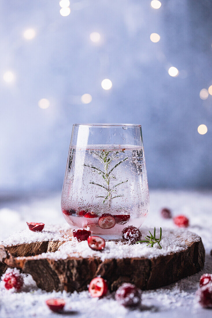 Winterlicher Gin Tonic mit Rosmarin und Cranberries