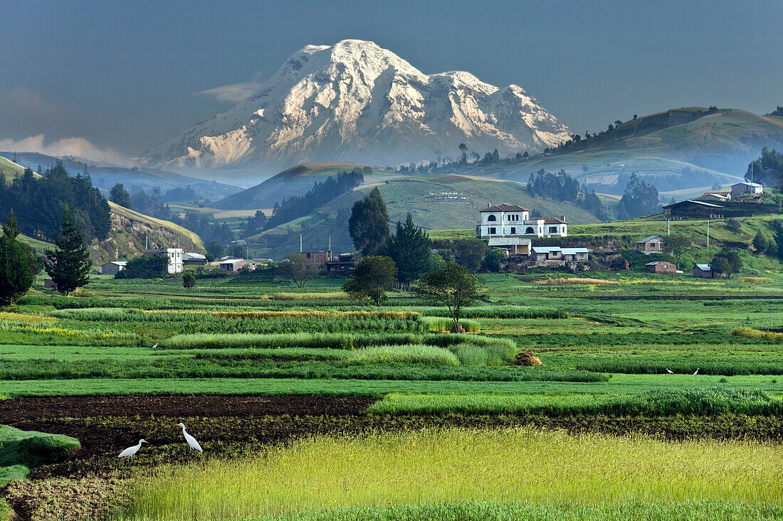 Mount Chimborazo, Ecuador