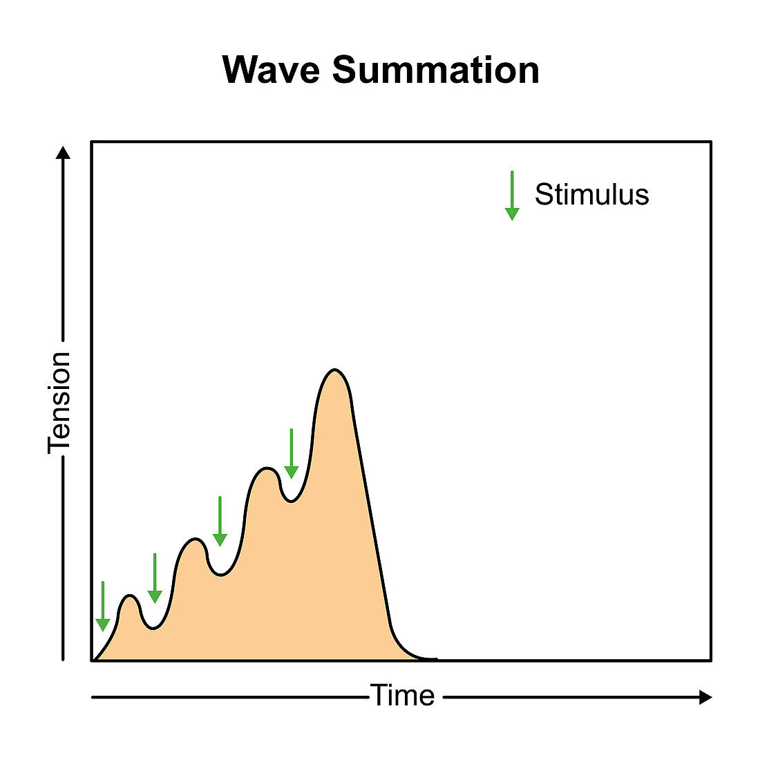 Wave summation, illustration