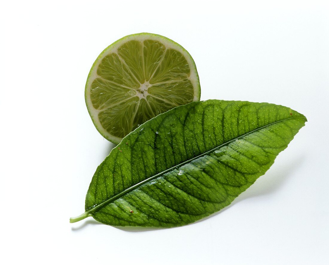 Lime half and leaf