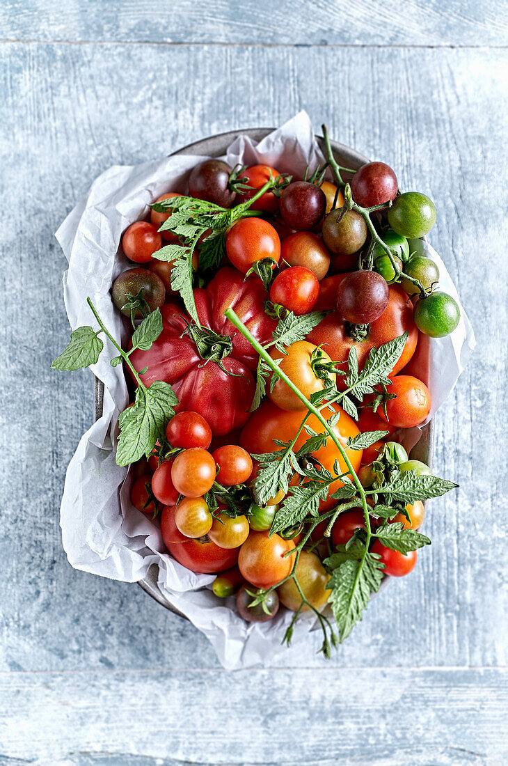 Verschiedene frische Tomatensorten auf einem Teller