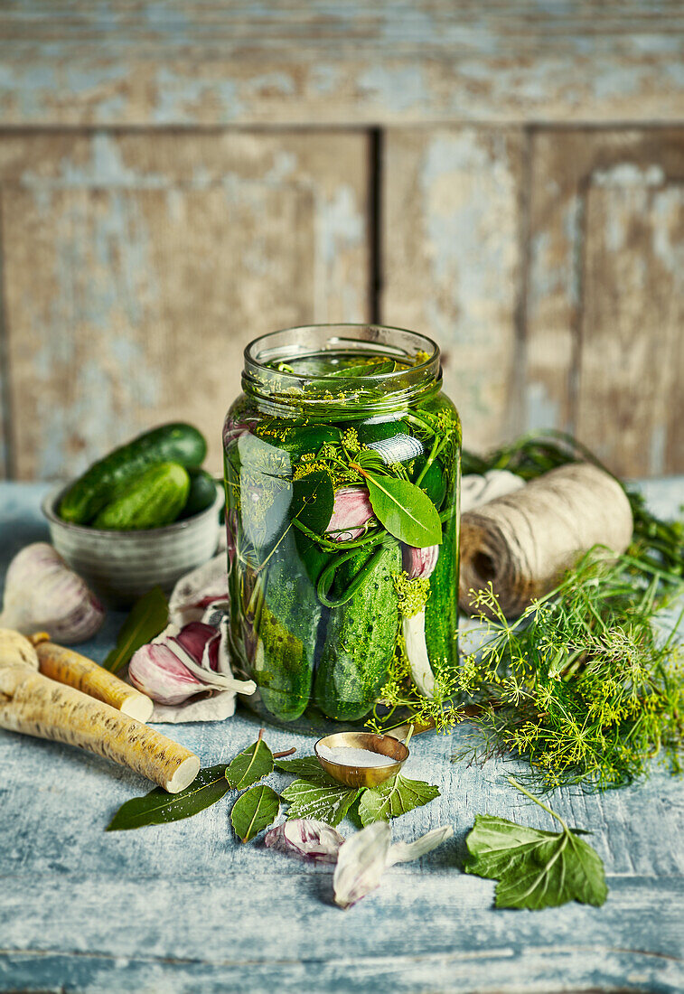 Gurken in Salzlake mit Dill, Knoblauch, frischem Meerrettich und Lorbeerblatt