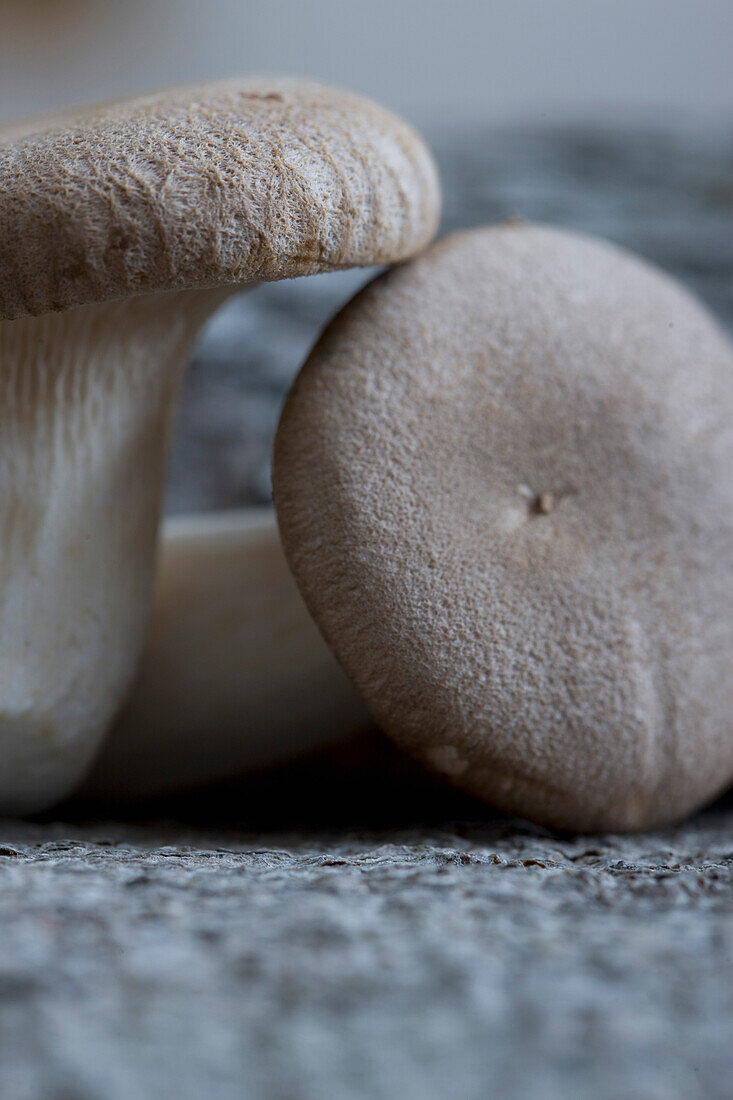 Extreme close up of eryngi mushrooms