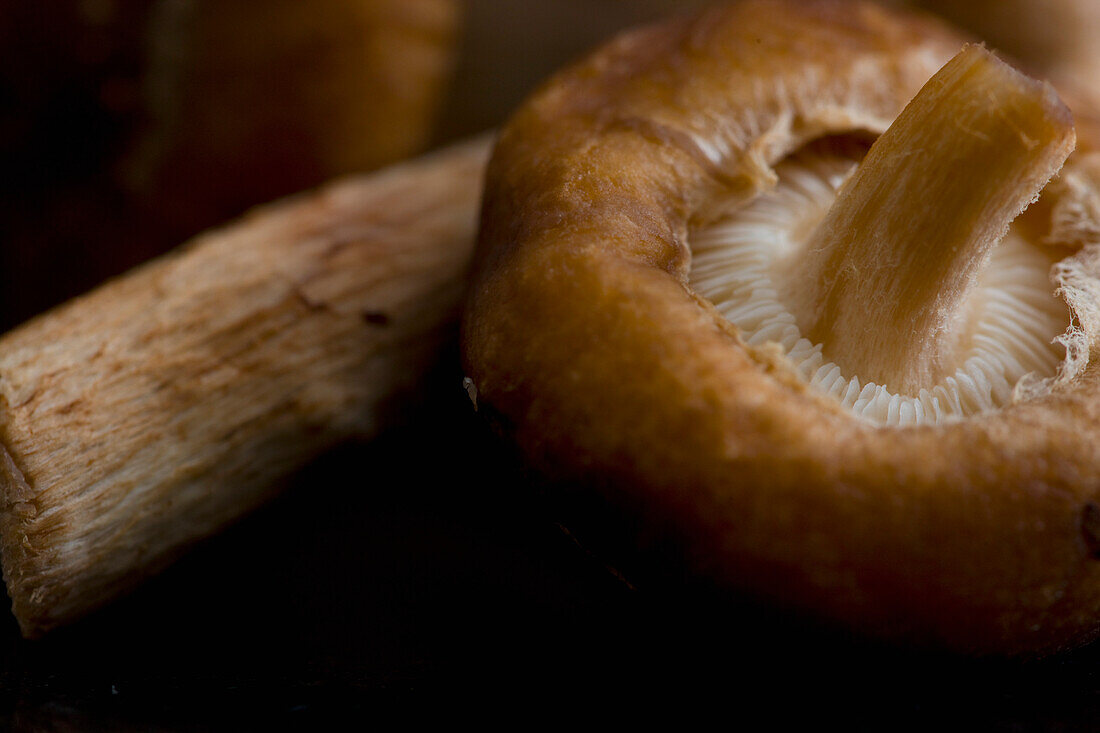 Extreme close up of shiitake mushrooms