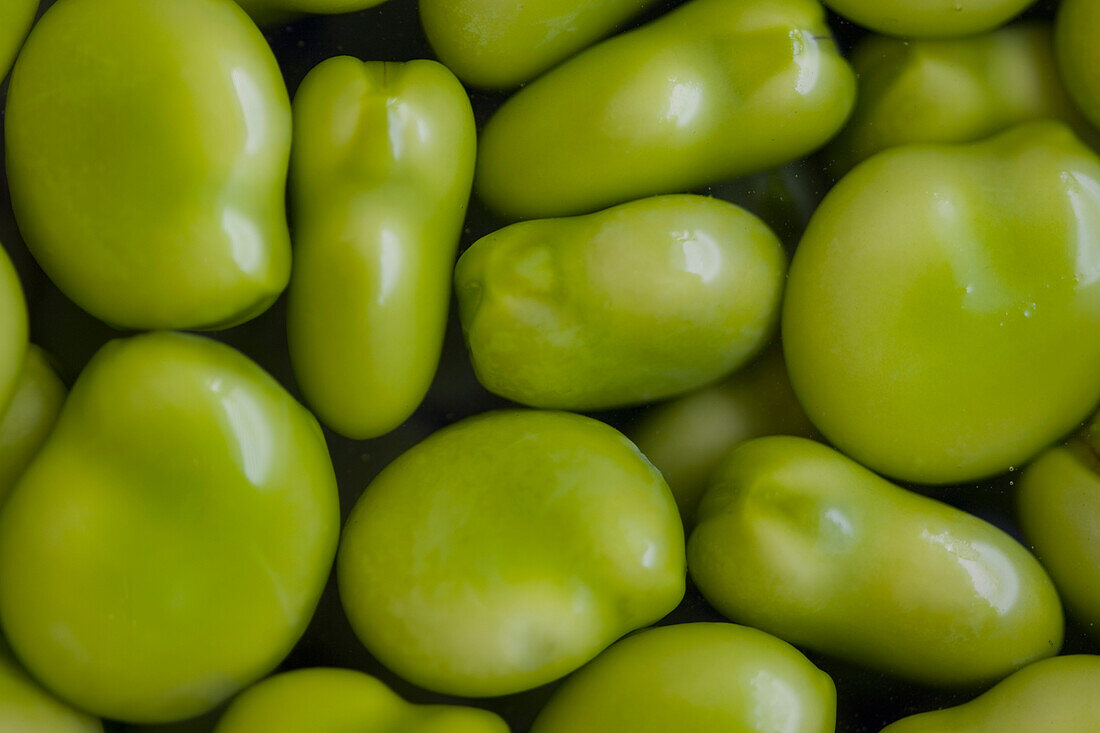 Extreme close up of Broad Beans