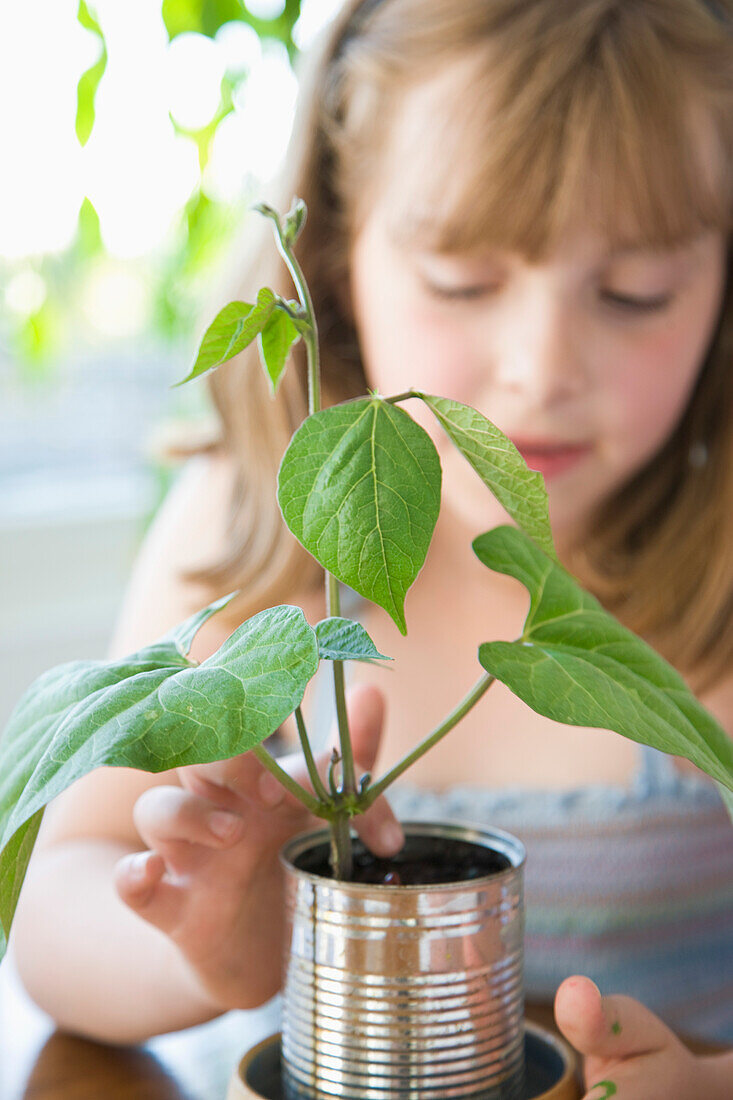 Mädchen inspiziert Pflanze