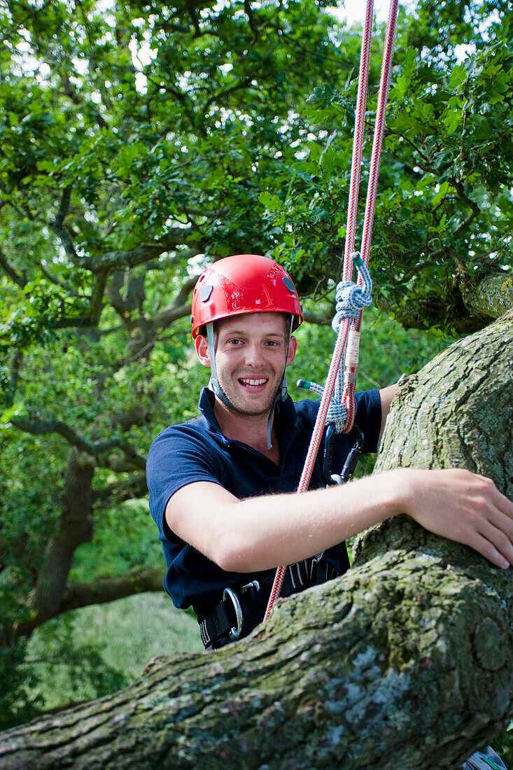 Mann klettert auf einen Baum