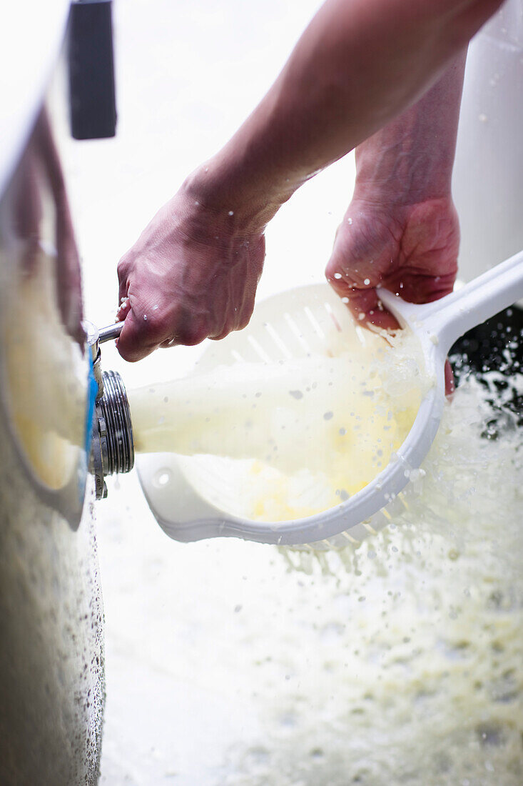 Close up of a man's hand washing cheese