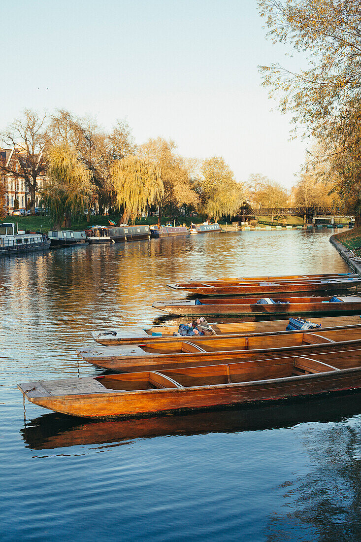 Stocherkähne auf dem Fluss Cam, Cambridge, England, Vereinigtes Königreich