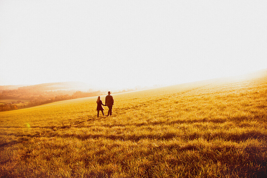 Paar geht händchenhaltend über ein Feld