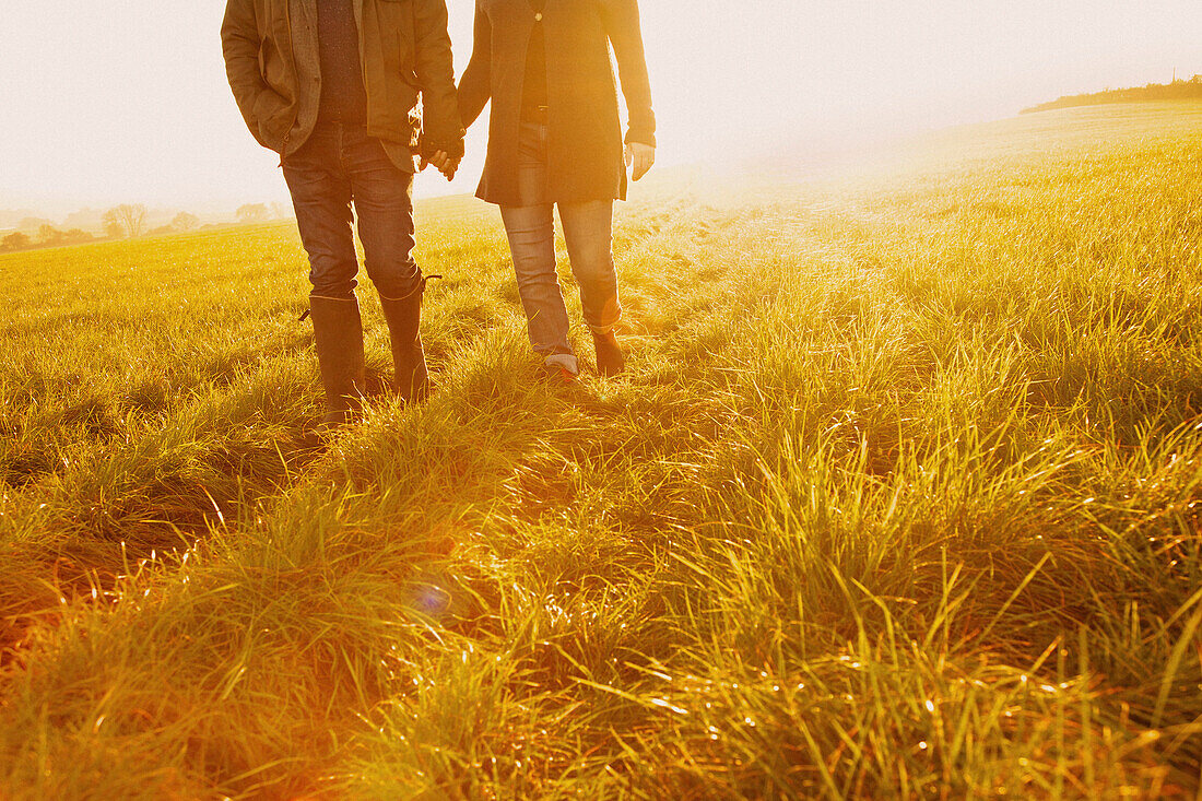 Couple Walking in a Field Holding Hands, Low Section