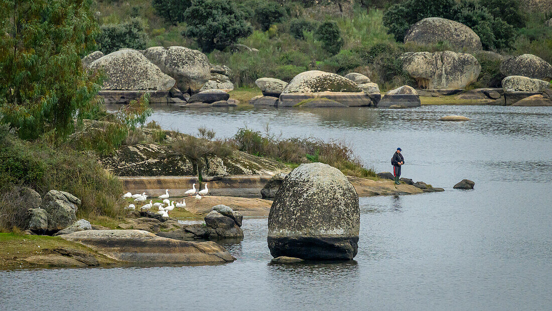 Fisherman and geese on a lake in Los Barruecos Natural Monument, Spain