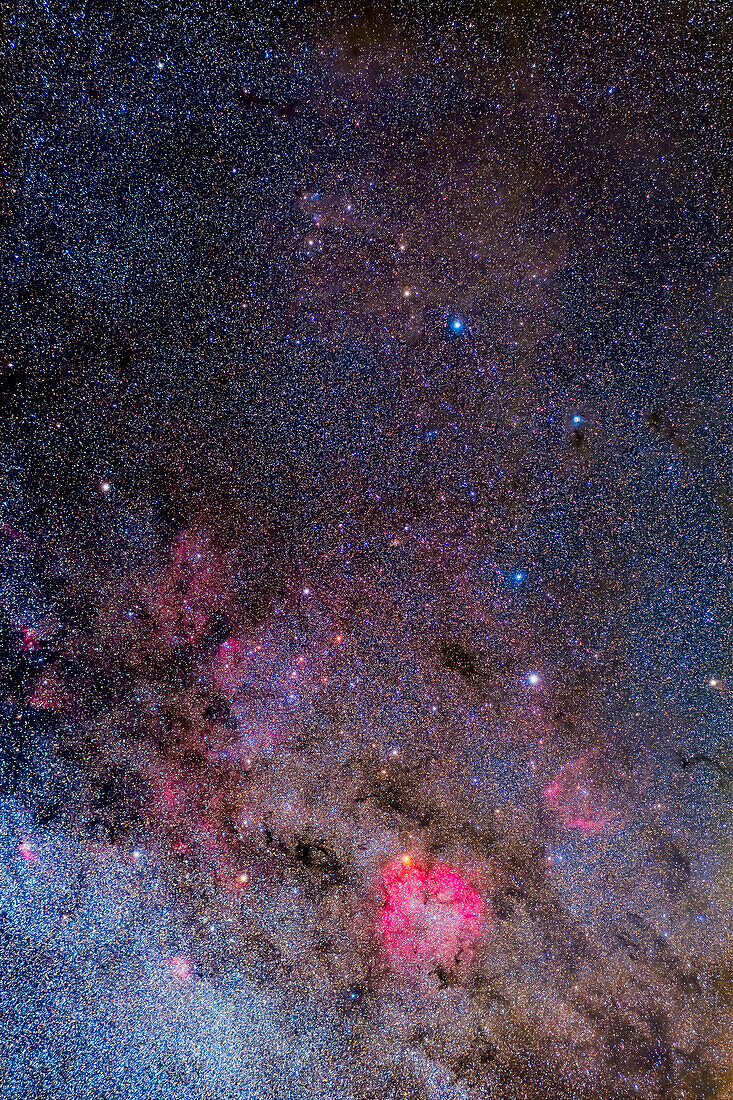 This is a portrait of most of the northern constellation of Cepheus the King, shot and processed to emphasize the rich collection of bright and dark nebulas within its borders. North is up in this framing. The lower portion of the image contains the Milky Way and is rich in bright stars, emission nebulas, but also dark dust lanes that stand out easily.