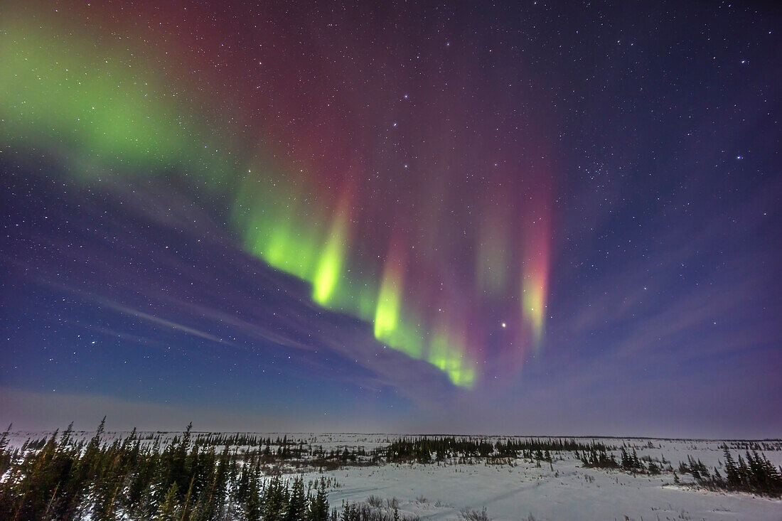 A weak Kp1-level aurora with a hint of dual parallel arcs in the northeast seen in a moonlit sky, February 14, 2024, from the Churchill Northern Studies Centre, Churchill, Manitoba. Arcturus is at right, Vega at lower left. The waxing crescent Moon provides the illumination and blue sky.