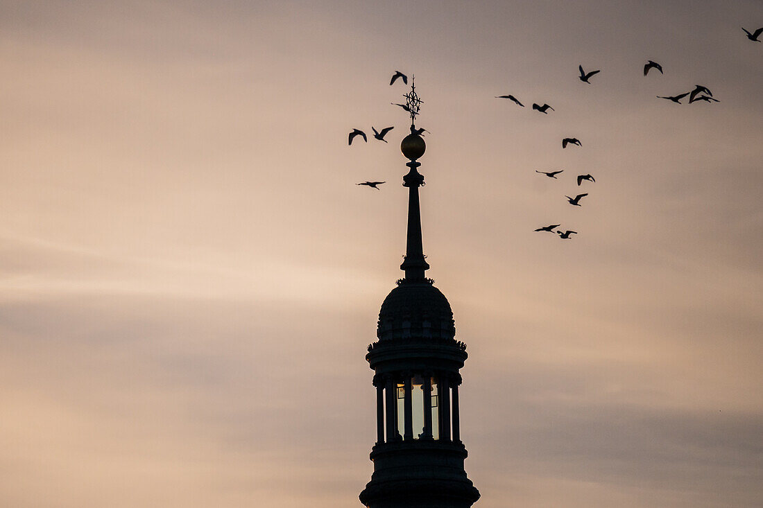 Flock of birds and Cathedral-Basilica of Our Lady of the Pillar at sunset, Zaragoza, Spain