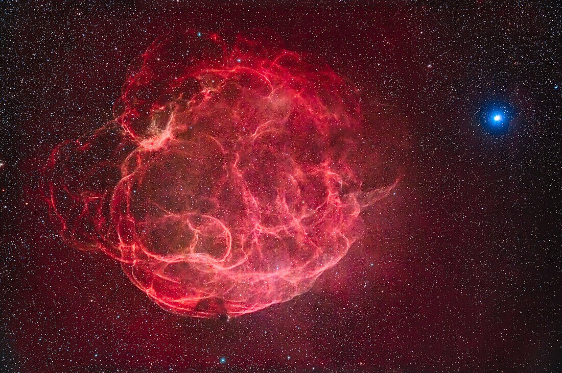 This is the supernova remnant known as the Spaghetti Nebula, but more formally as Simeis 147 or Sharpless 2-240. It was discovered at the Crimean Astrophysical Observatory in 1952, an observatory also known by its name of Simeiz for the location where one of its facilities was located, thus the name of the catalogue of objects that includes entry #147. The supernova that created this nebula exploded some 40,000 years ago and is about 3,000 light years away. In the sky it stretches across more than 3°, so it is big! The field of view here is 6.6° by 4.4°. The bright star at right is Elnath in T