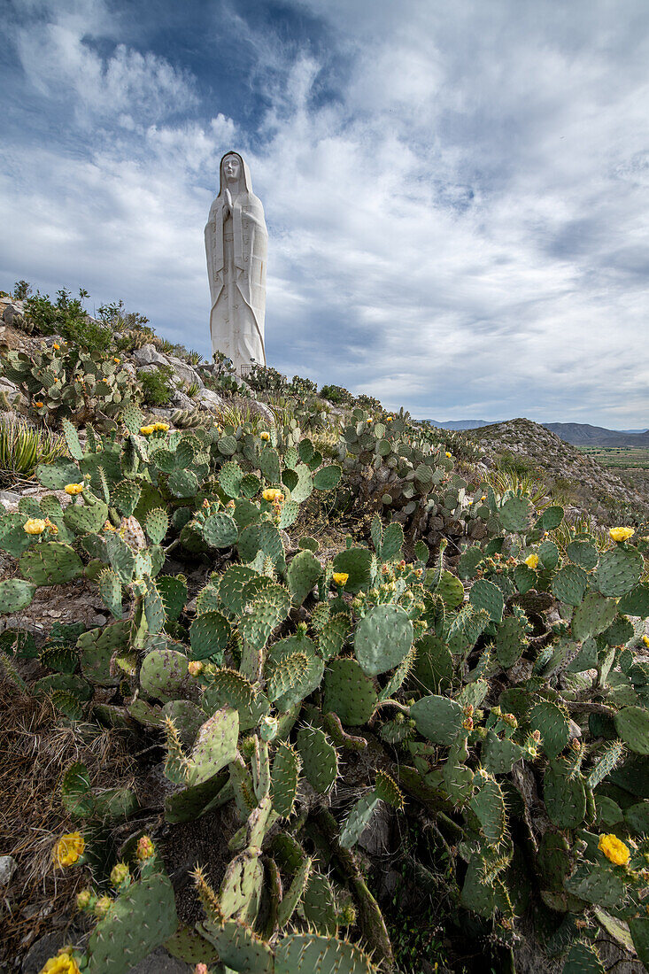 Gomez Palacio, Mexiko