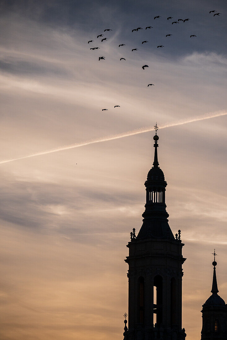 Vogelschwarm und Kathedralen-Basilika Unserer Lieben Frau von der Säule bei Sonnenuntergang, Zaragoza, Spanien