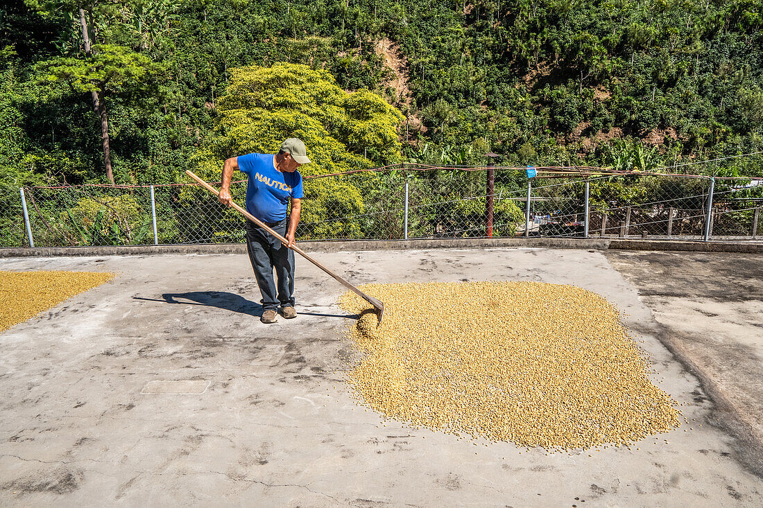 Trocknungsprozess auf den Terrassen der Häuser Guatemalas