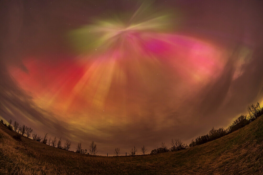 Die große Aurora-Show vom 10./11. Mai 2024 zeigt Strahlen, die im magnetischen Zenit konvergieren und eine Vielzahl von Farben aufweisen, nicht nur die üblichen Sauerstoff-Grüntöne, sondern auch Rottöne (ebenfalls aus Sauerstoff), aber hier auch Rosatöne, wahrscheinlich aus Stickstoff, und auch einige Gelbtöne aus der Mischung von Rot und Grün.