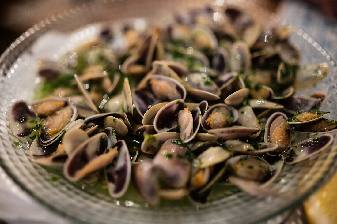 Tellina-Muscheln im Restaurant La Arbica in Peñiscola, Castellon, Valencianische Gemeinschaft, Spanien